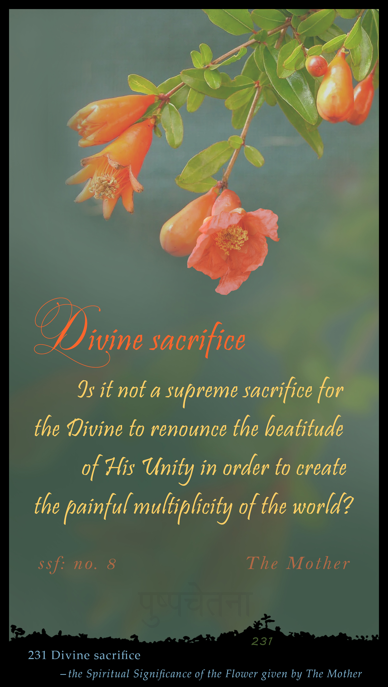 Divine Sacrifice
